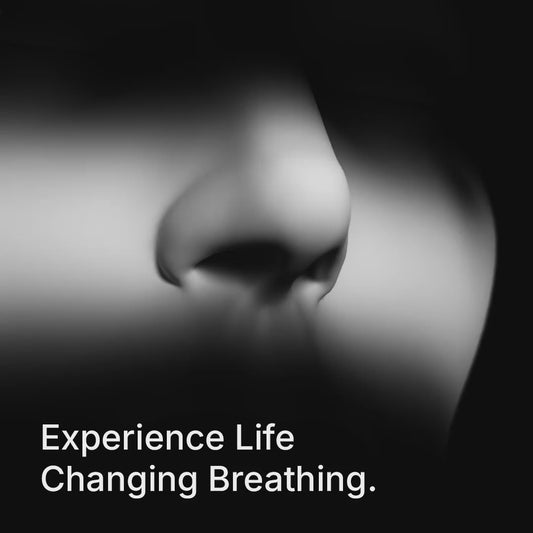 Holiday Starter Kit Deals